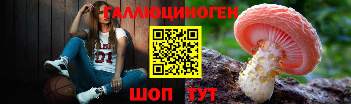 Псилоцибиновые грибы GOLDEN TEACHER Каменск-Уральский